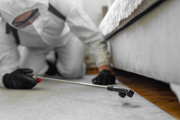 Professional Bed Bug Control technician working in South Temple, PA