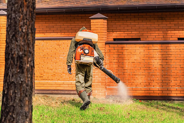 Trusted Ant Control service in South Temple, PA - Nex Pest Control